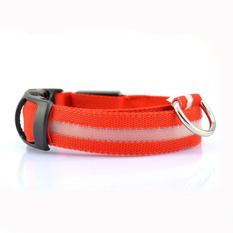 Glow In The Dark Collar - Keep Your Pet Safe and Seen After Dark - Tim Ecommerce Specialist